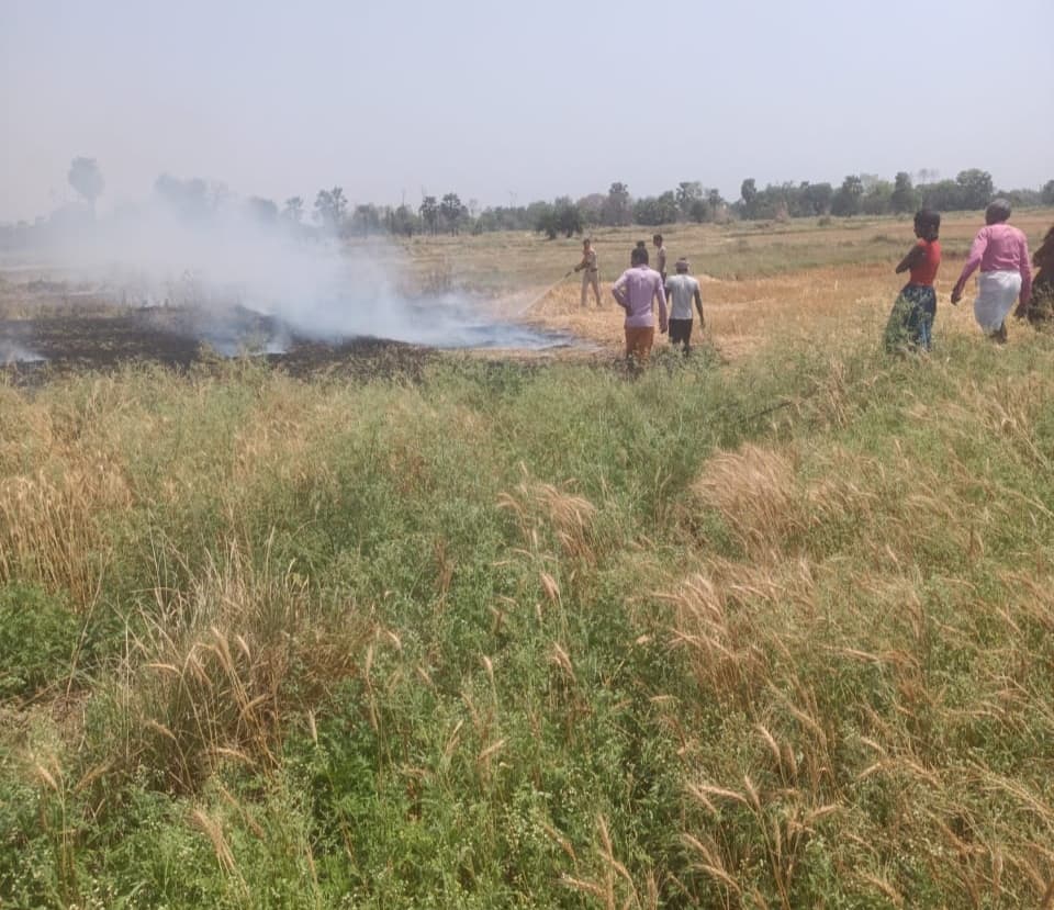 अगलगी में किसान की तैयार गेहूं की फसल जल कर राख