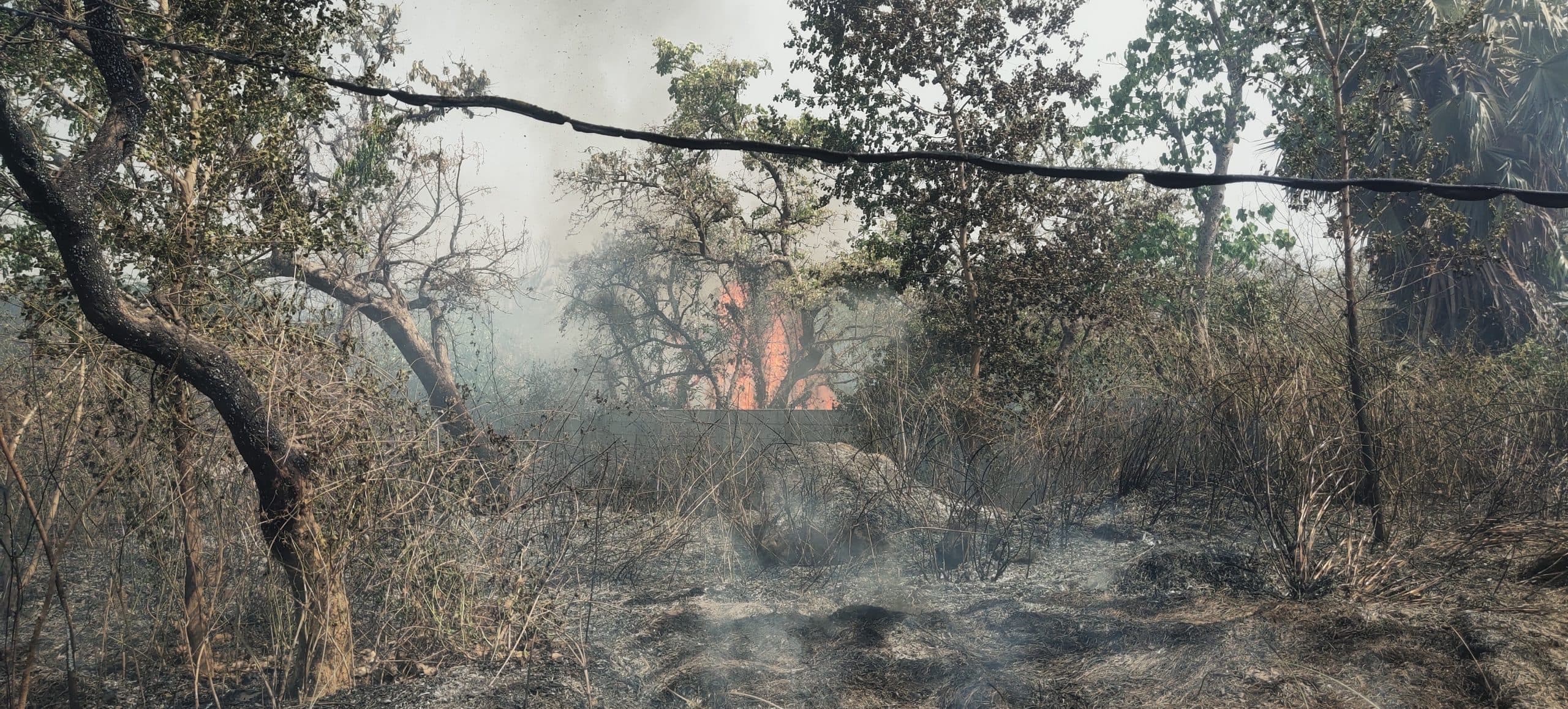 झाड़ियों में लगायी आग, निर्माणाधीन पावर ग्रिड जलने से बचा