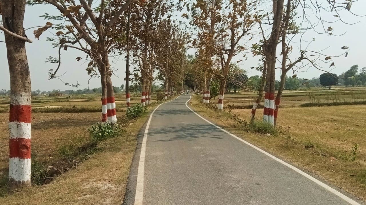 हीट वेव का क्रम जारी रहने का अनुमान