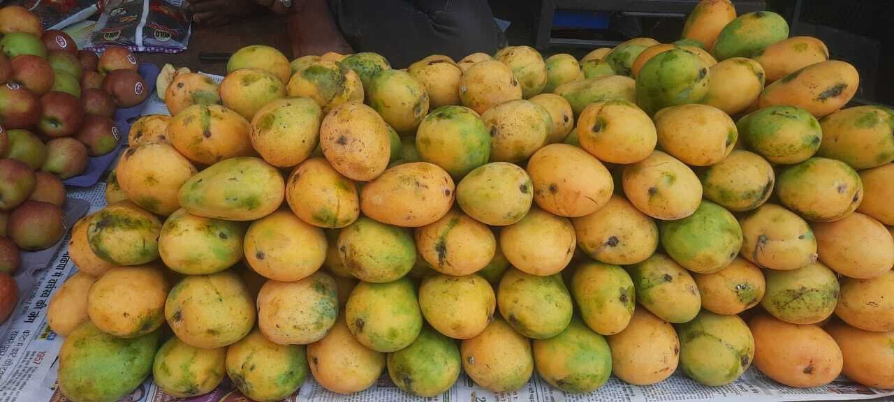 20 मई के बाद गया के बाजार में दूधिया मालदा के आने की उम्मीद