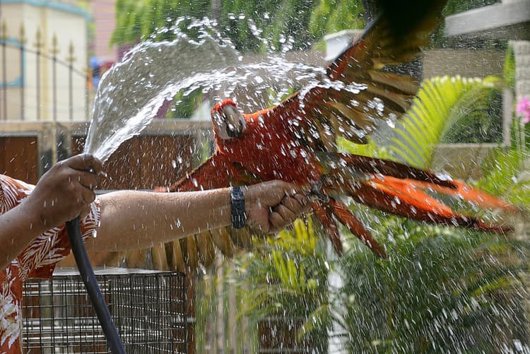 गर्मी से फिलहाल निजात नहीं, अप्रैल तक चढ़ता रहेगा पारा