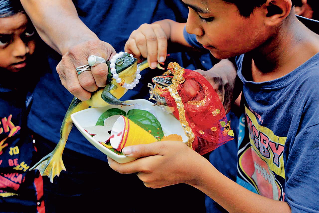 बारिश के लिए मेढक-मेढकी की करायी शादी, विवाह मंडप में हुआ सिंदूरदान भी