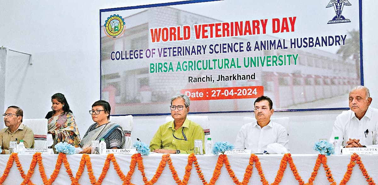 पशु चिकित्सकों का काम ज्यादा चुनौतीपूर्ण : वीसी