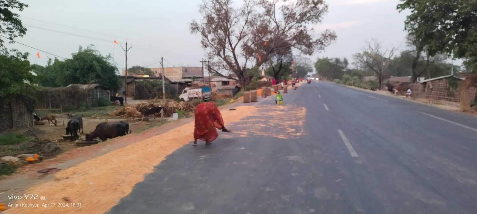एनएच-31 पर सूख रहे मकई का दाना हादसे को दे रहे आमंत्रण