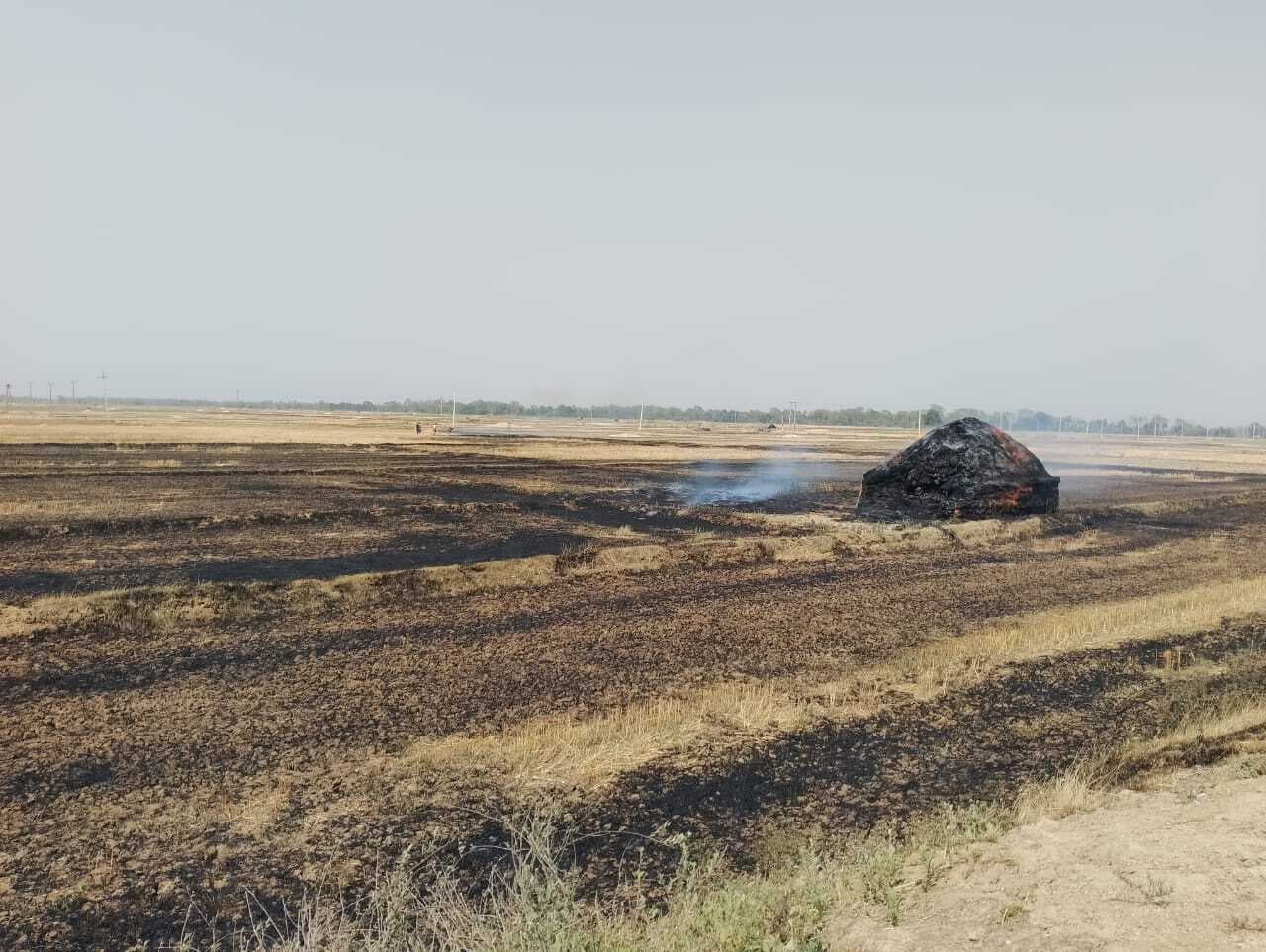 बहियार में आग लगने से पुआल जलकर राख