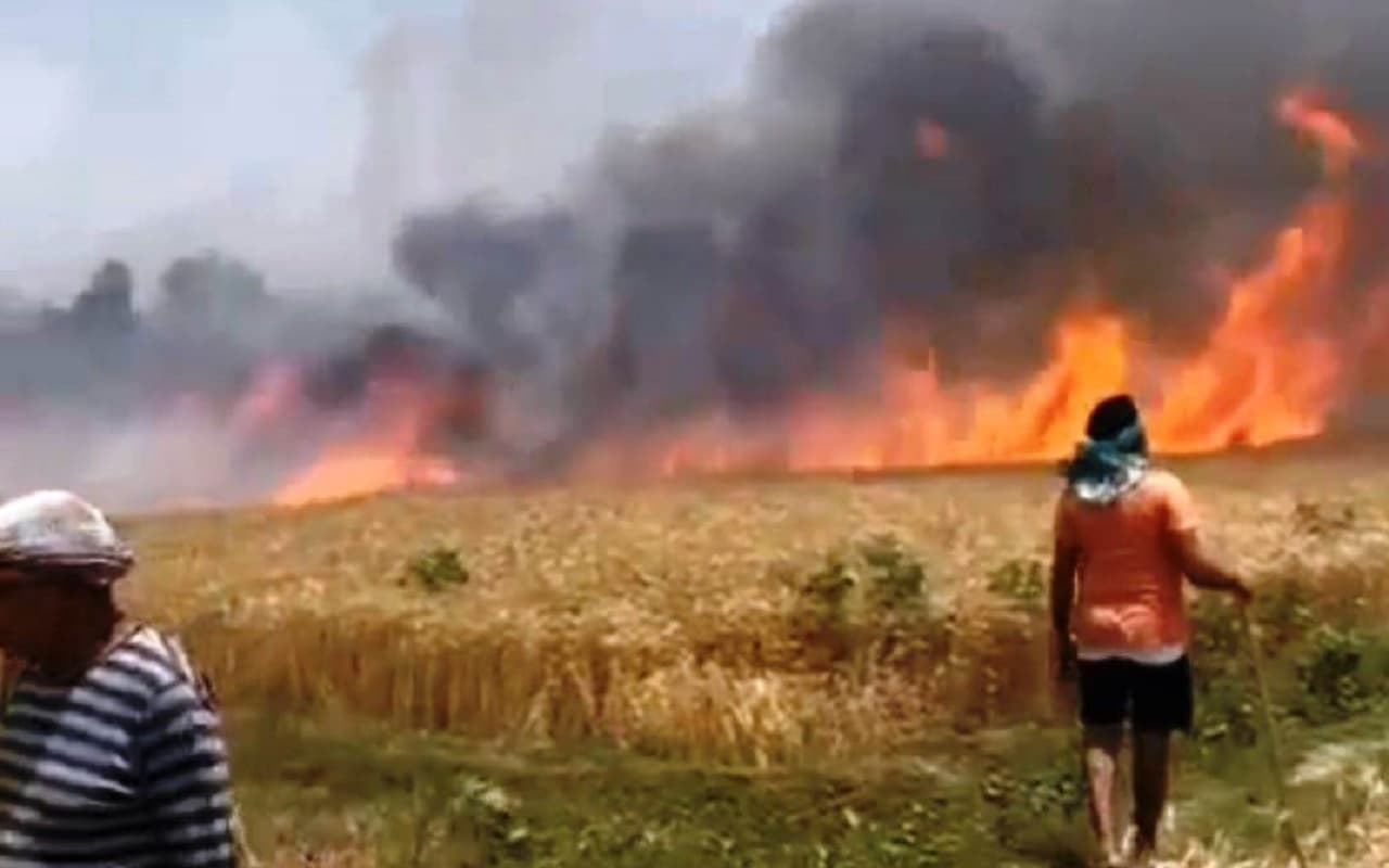 बिहार में चिलचिलाती धूप मचा रही तबाही, धू-धू कर जल रहे खेत-मकान, फसलों में रोज लग रही आग, रहें सतर्क..