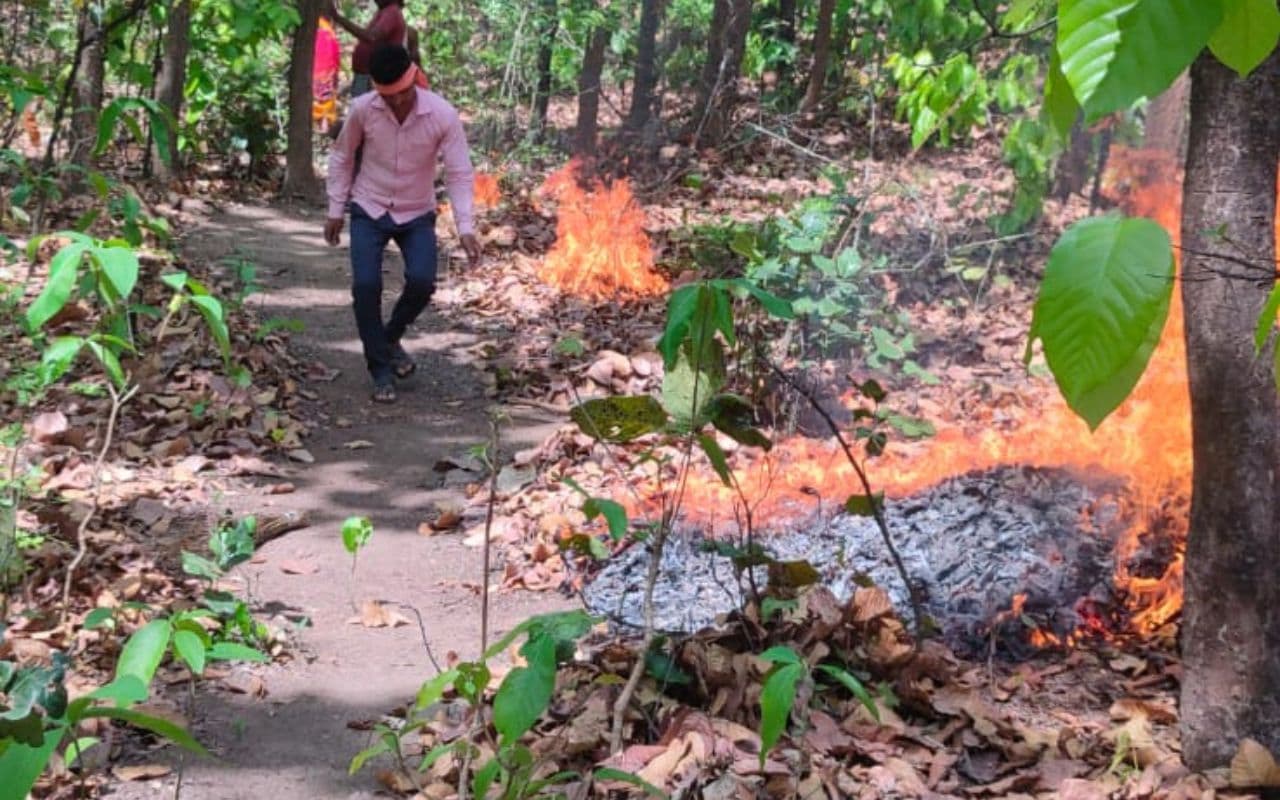 Giridih Fire News: घोरंजी पहाड़ पर 10 हेक्टेयर में फैली आग हुई बेकाबू, खतरे में वन्य जीव