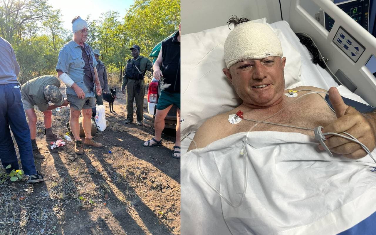 जिम्बाब्वे के पूर्व क्रिकेटर Guy Whittall तेंदुए के हमले में हुए घायल, दूसरी बार मौत को दिया चकमा