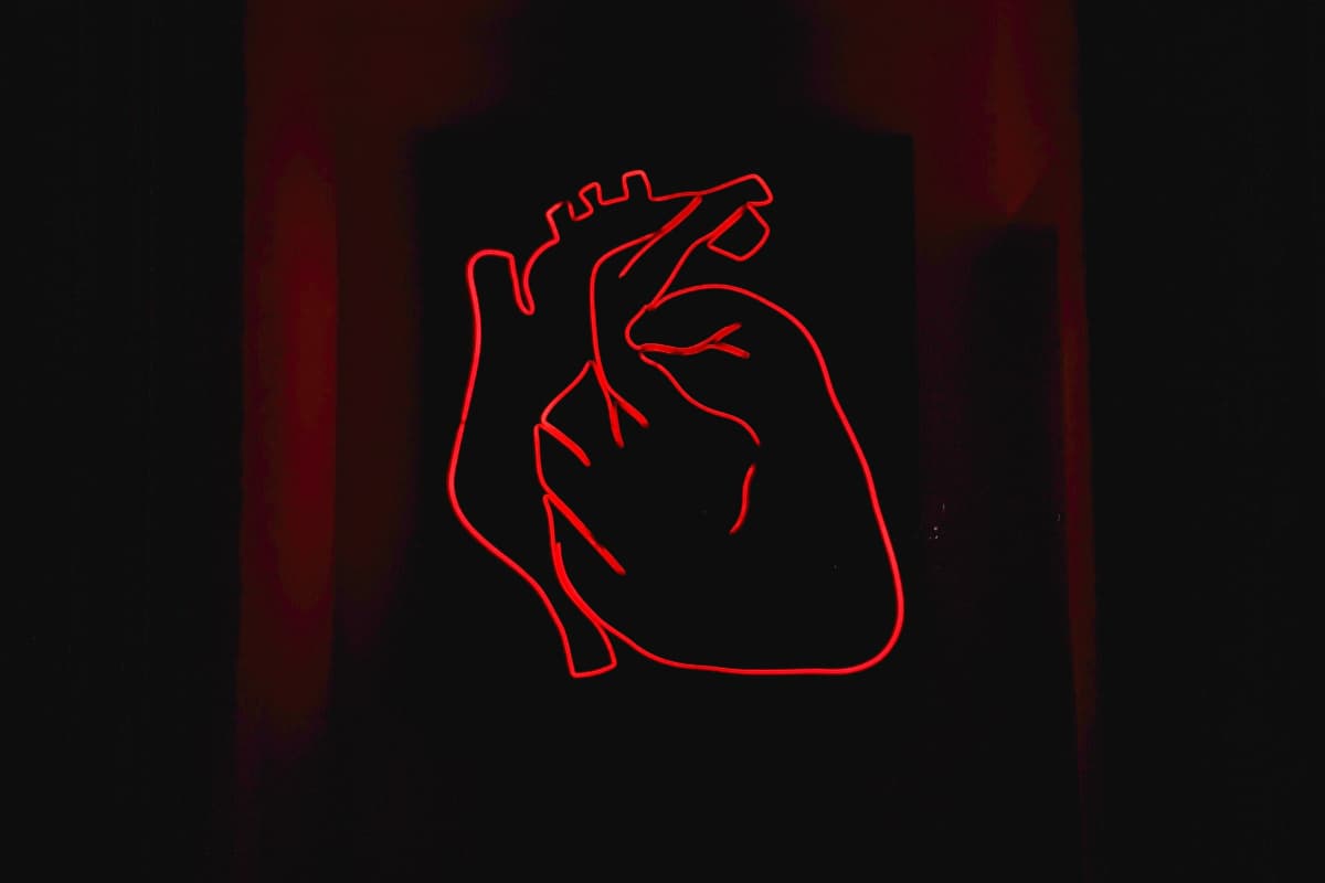 फिटनेस के लिए हृदय गति माप से ज्यादा जरूरी है उसका पंप करना, जानें क्या कहता है विज्ञान