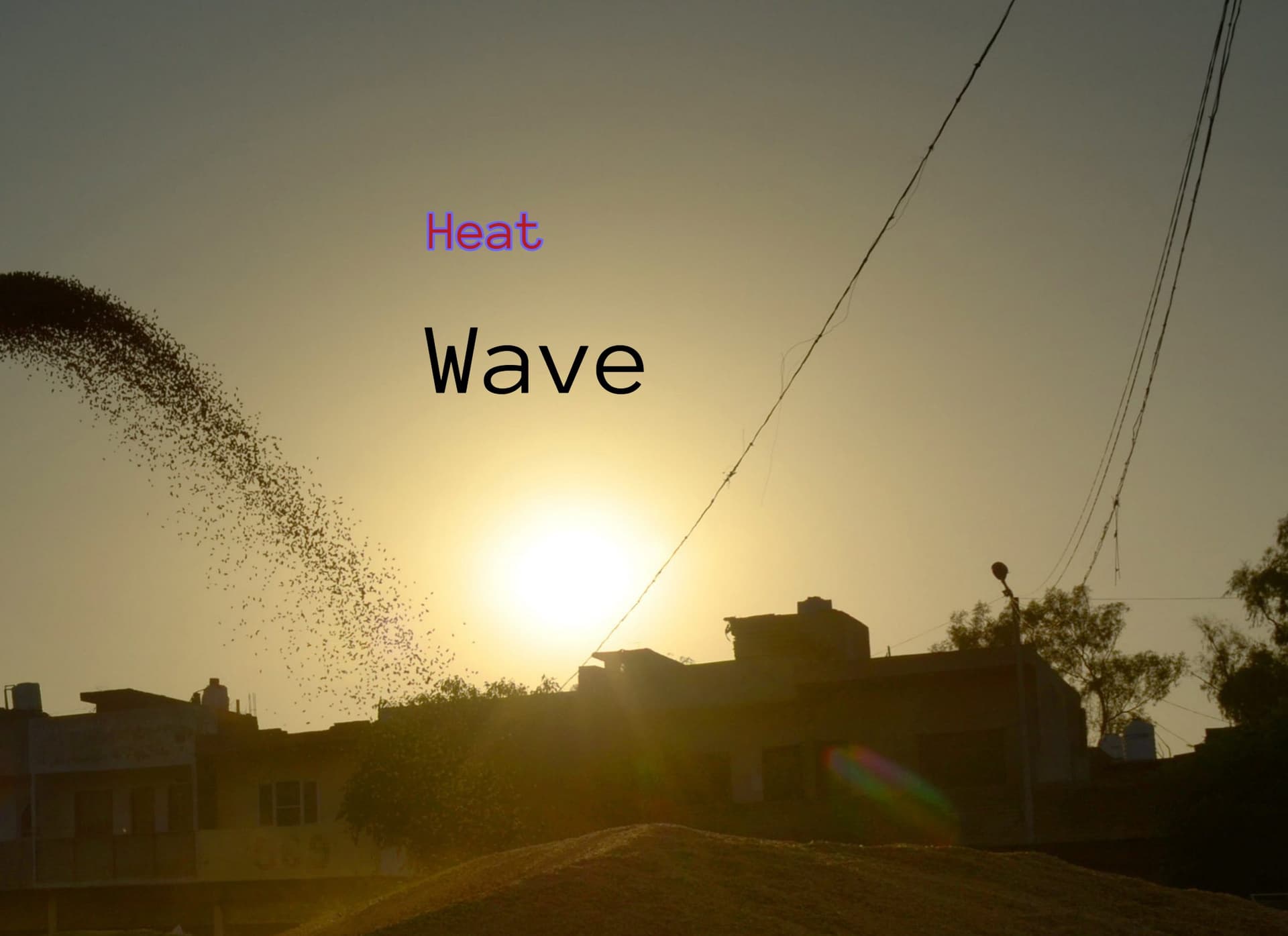 Weather Forecast: Heat Wave छुड़ा रहा है पसीना, जानें आज कैसा रहने वाला है मौसम का हाल
