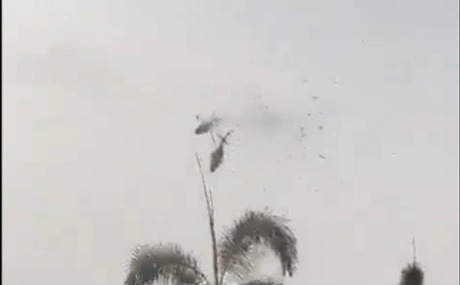 Malaysia में हवा में टकराए 2 हेलिकॉप्टर, 10 की मौत, देखें वीडियो