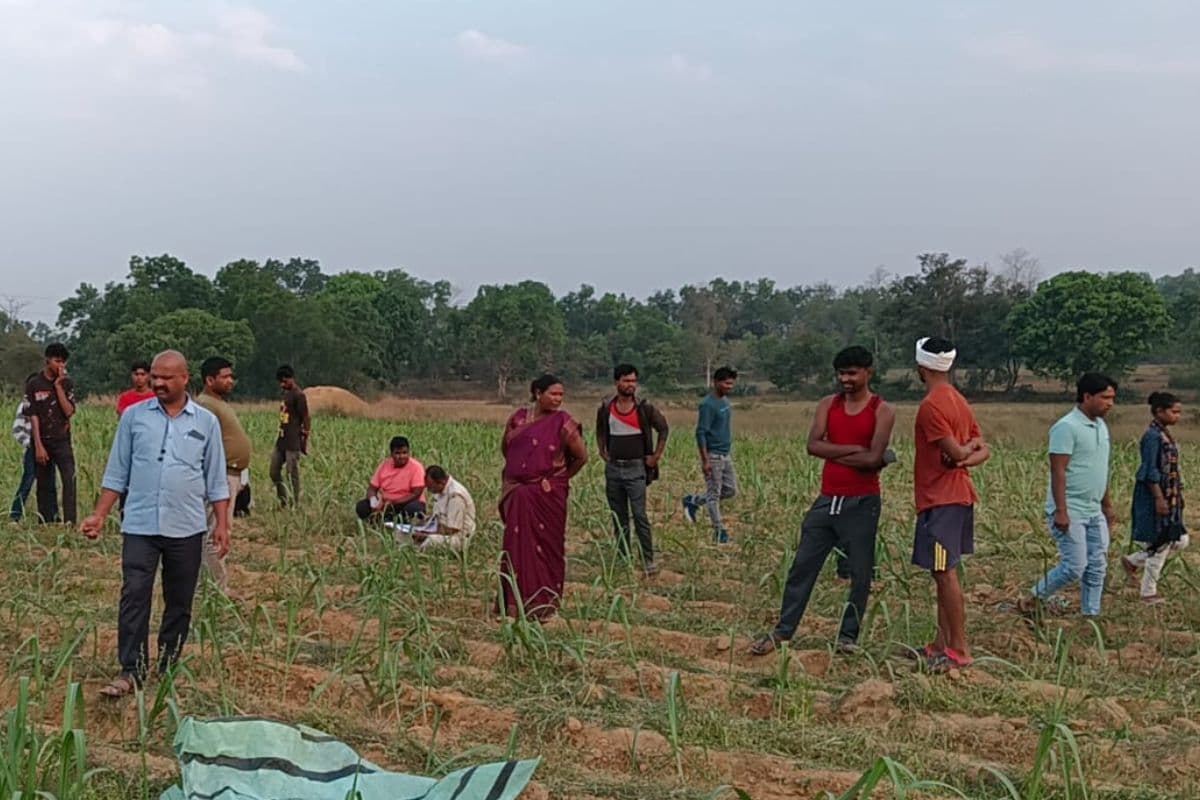 झारखंड के लोहरदगा में महिला मजदूर की गला रेतकर हत्या, पुरानी रंजिश में गांव के युवकों ने गन्ने के खेत में ही मार डाला