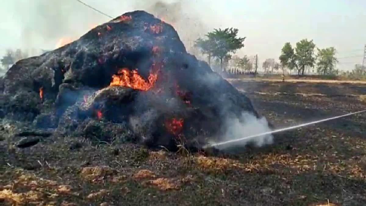 Bihar: रोहतास में बिजली की चिंगारी से लगी भीषण आग, 25 बीघा में लगी गेहूं की फसल राख