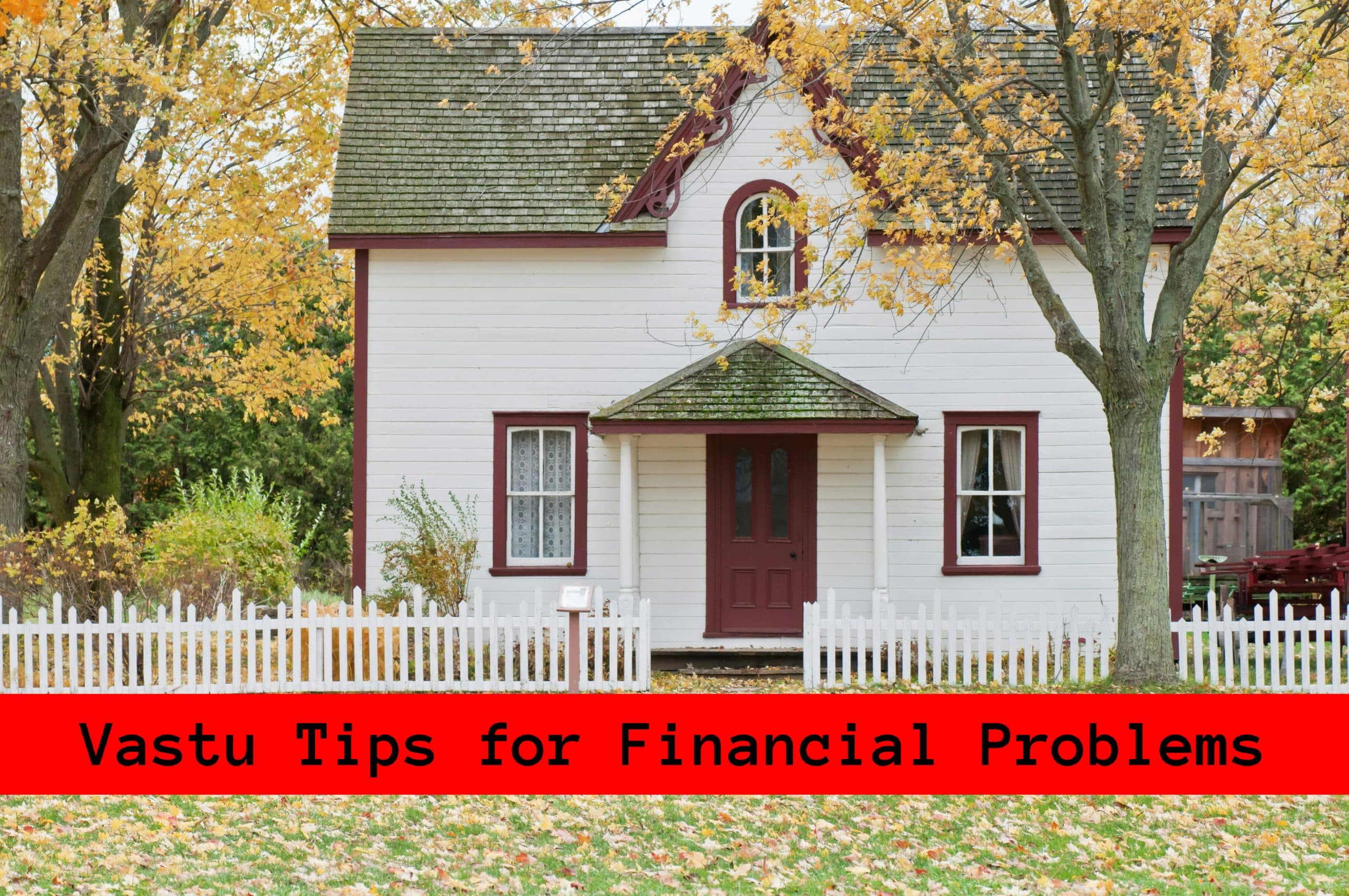 Vastu Tips: कभी नहीं होगी आर्थिक तंगी, घर में रखें ये चीजें