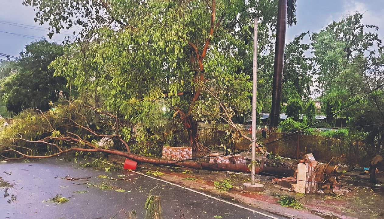 सासाराम में तेज आंधी-पानी का कहर: तीन लोगों की गई जान, लाखों का हुआ नुकसान