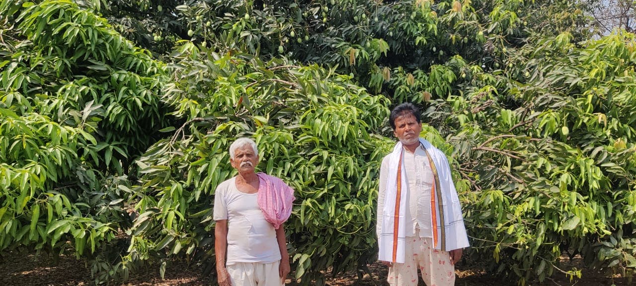 सर्वोदय नगर : 5 बहेलियों के परिवार ने श्मशान में बसा दी हरियाली, टिकारी महाराज की पत्नी ने दान में दी थी जमीन