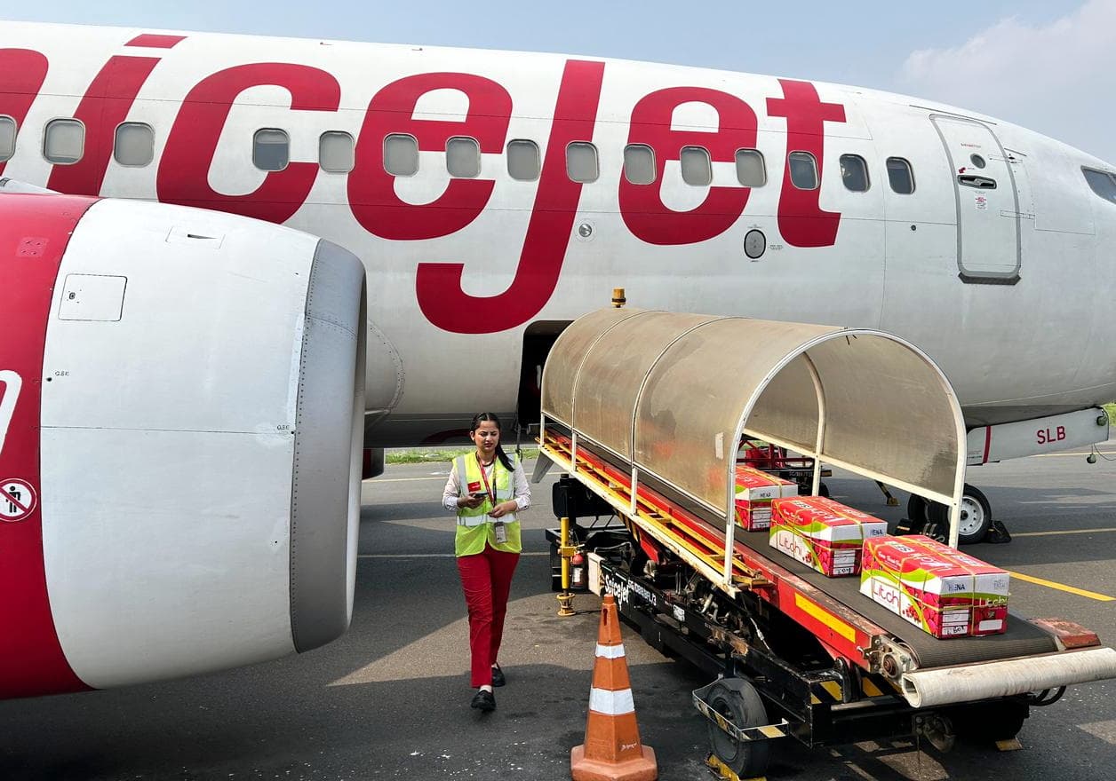 दरभंगा से देश-विदेश तक पहुंचेगी मुजफ्फरपुर की लीची, एयरपोर्ट पर कार्गो सेवा का उद्घाटन