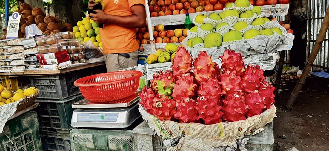 कम लागत, ज्यादा कमाई; ड्रैगनफ्रूट बदल रहा बिहार के किसानों की किस्मत, जानिए कैसे साबित हो रहा है फायदेमंद?