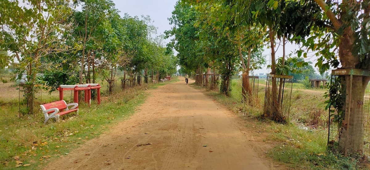 Banka news : सावन माह में इस बार हैं कई दुर्लभ संयोग