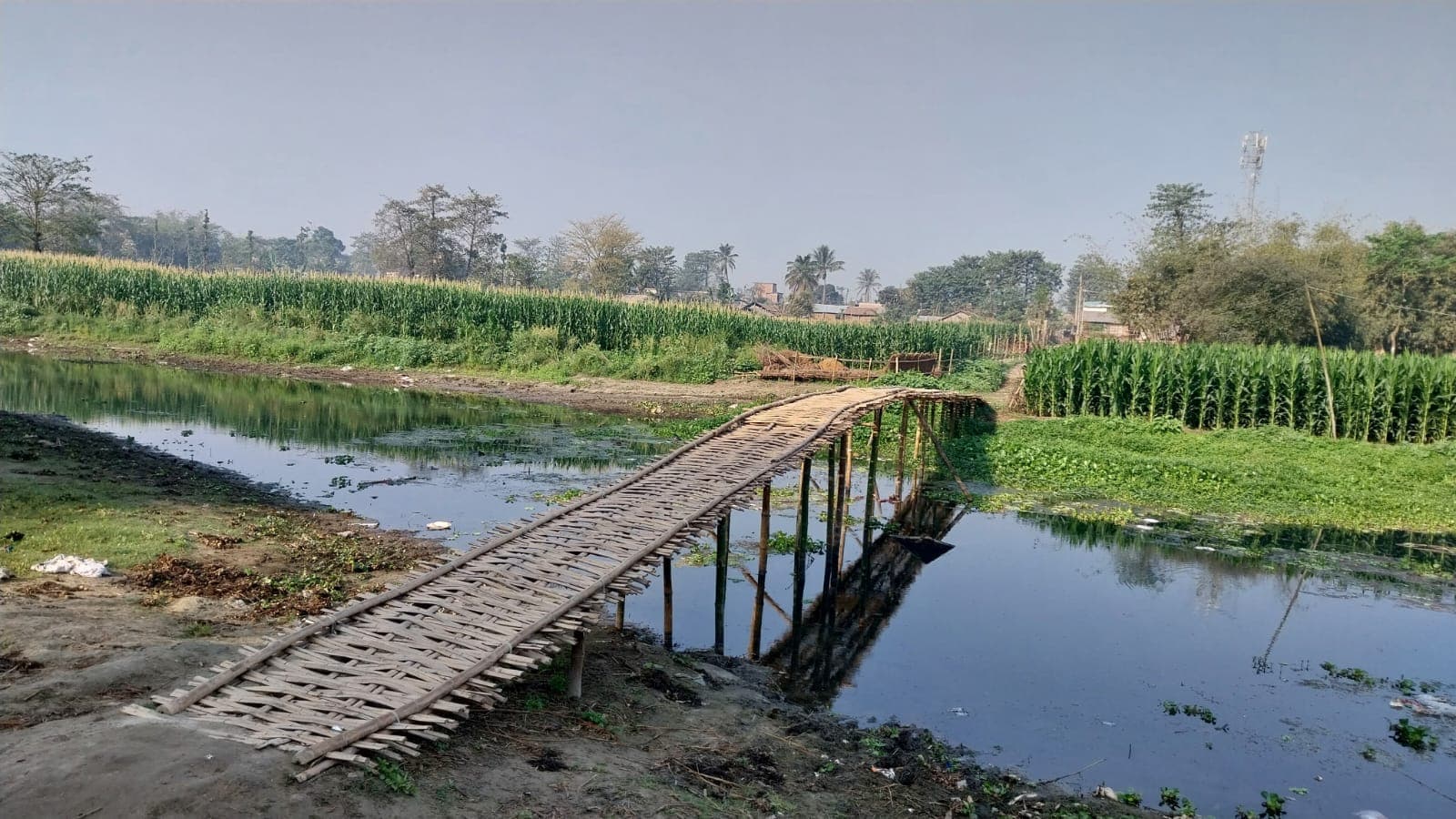 बैंगा नदी में चचरी पुल बनाकर हजारों लोग करते हैं आवाजाही