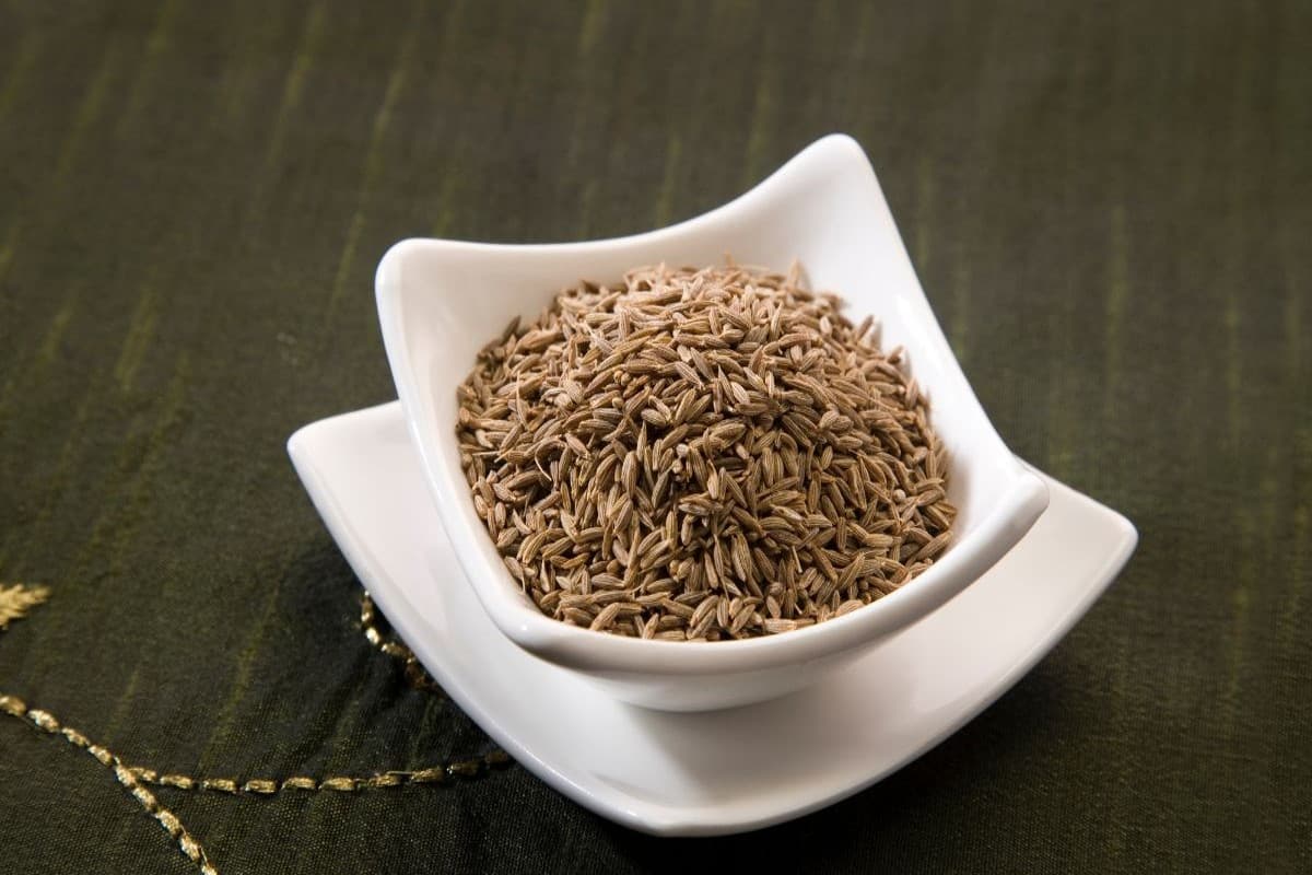 Benefits Of Cumin Water: पाचन, वजन और हाई बीपी को कंट्रोल में रखता है जीरा का पानी,  जानिए पूरी डिटेल