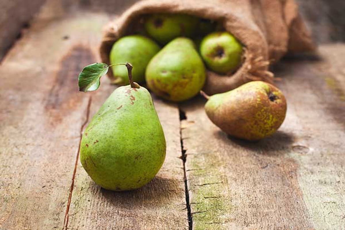 Benefits Of Pear Fruit: डायटीशियन से जानिए नाशपाती से होने वाले जबरदस्त फायदों के बारे में