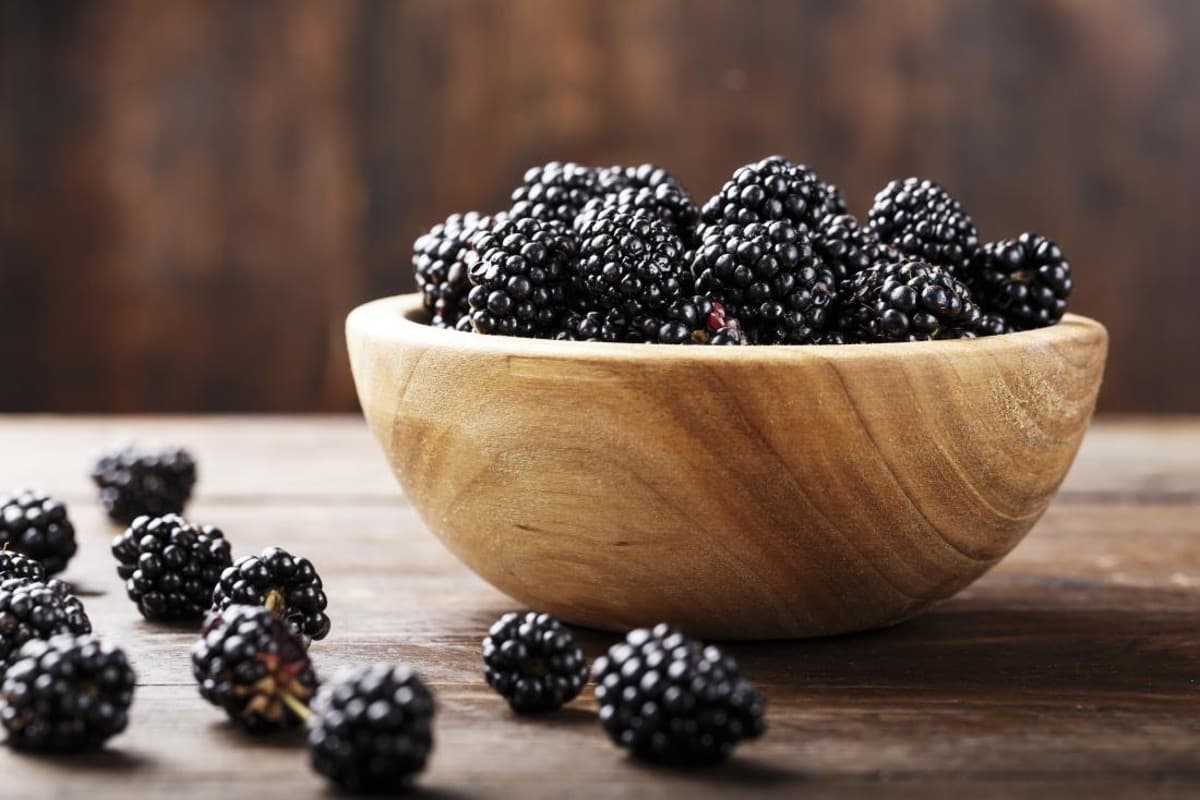 Benefits of Blackberries: ब्लैकबेरी है सुपरफूड, डायटीशियन से जानिए इसे खाने से होने वाले फायदों के बारे में