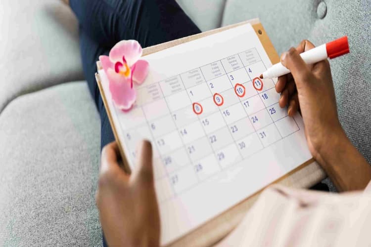 Delayed Period: दवा के बिना भी बढ़ा सकती हैं पीरियड्स की डेट? पीरियड लेट करने के लिए खाएं ये 5 चीज