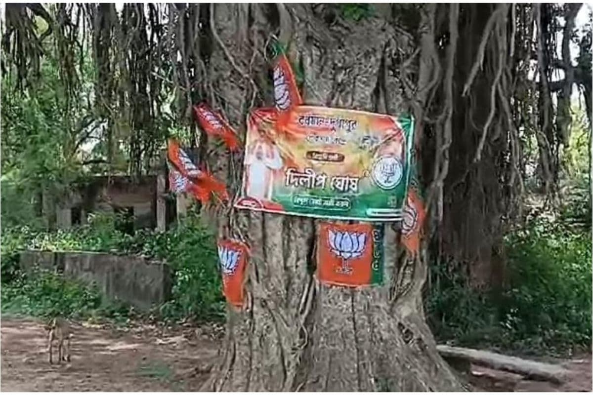 कांकसा जंगलमहल में झंडा और बैनर लगा पेड़ों को जख्मी कर रहें है राजनीति दल