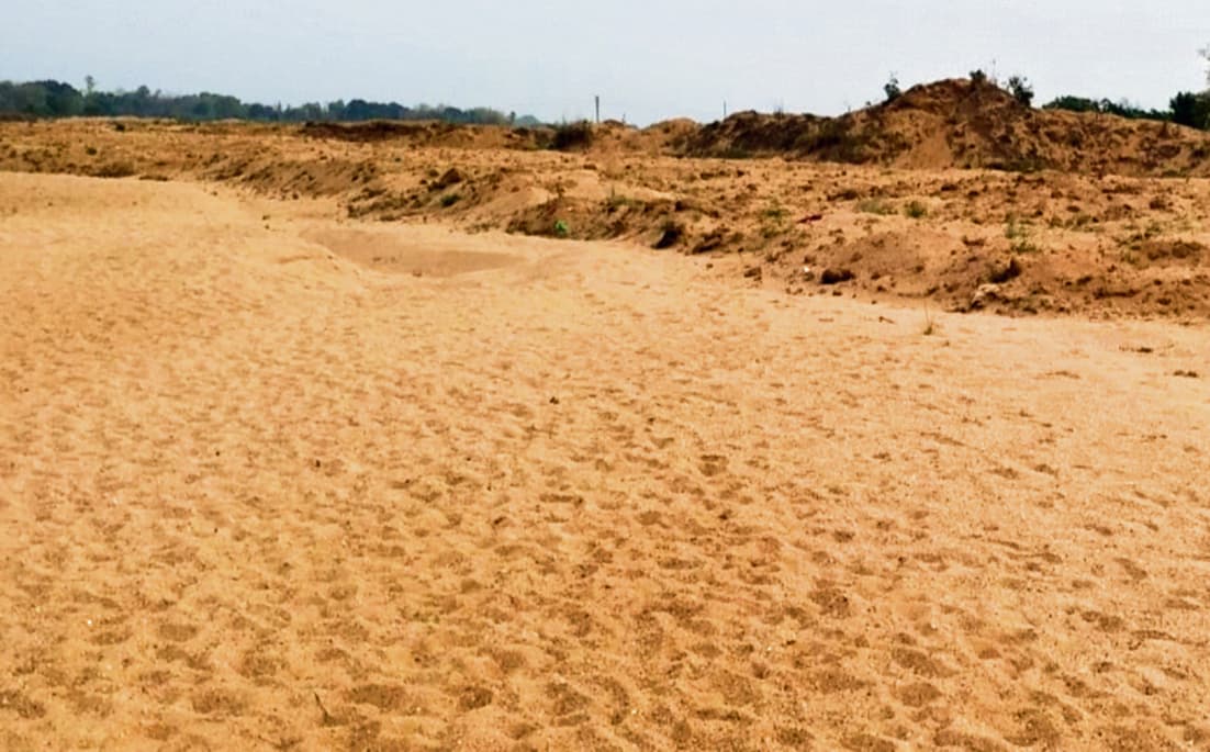 Jamui News : गर्मी में सूख रहे नदी-तालाब, आम लोगों के साथ पशु-पक्षी भी बेहाल