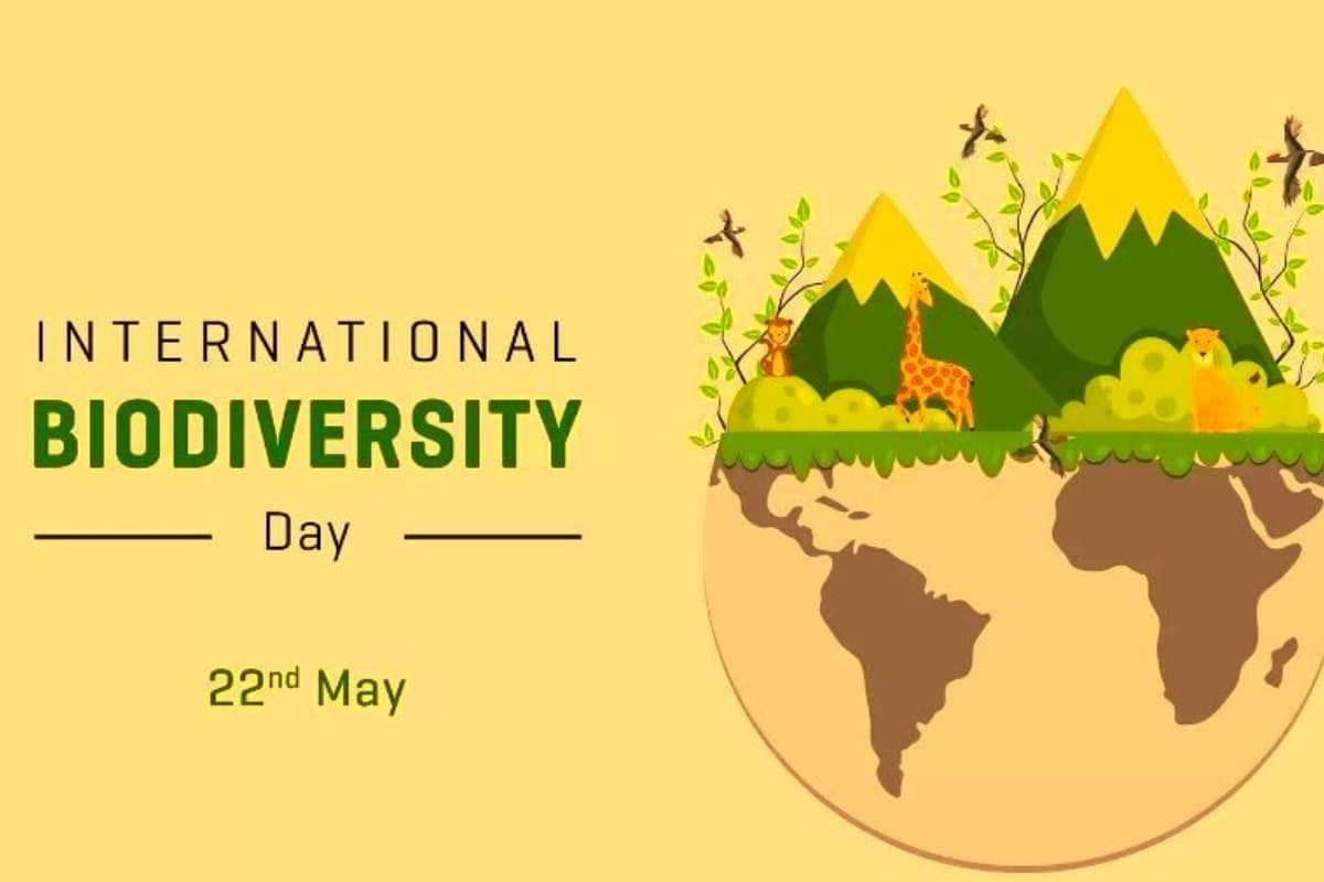 International Biological Diversity Day 2024: प्रकृति के प्रति हमें जागरूक करता है यह खास दिन, जानें क्या है इतिहास और महत्व