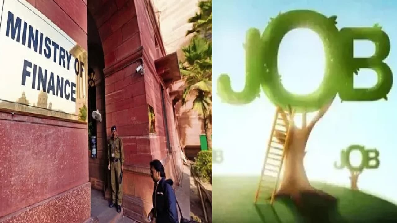 Jobs: संगठित क्षेत्र में बढ़ रहीं नौकरियां : वित्त मंत्रालय