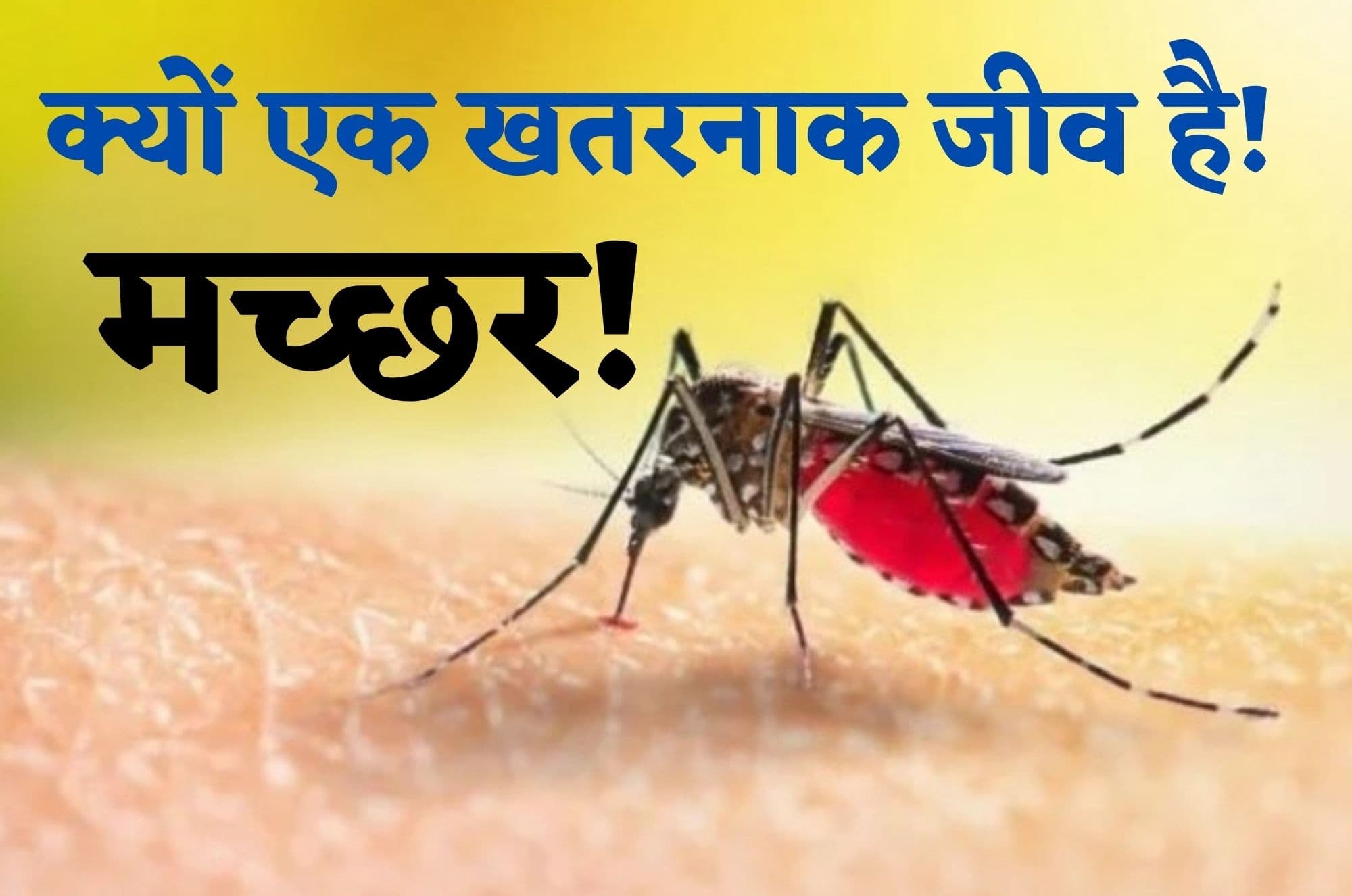 Mosquito: इंसानों के लिए सबसे खतरनाक जीव है मच्छर, नयी-नयी बीमारियों का है यह वाहक