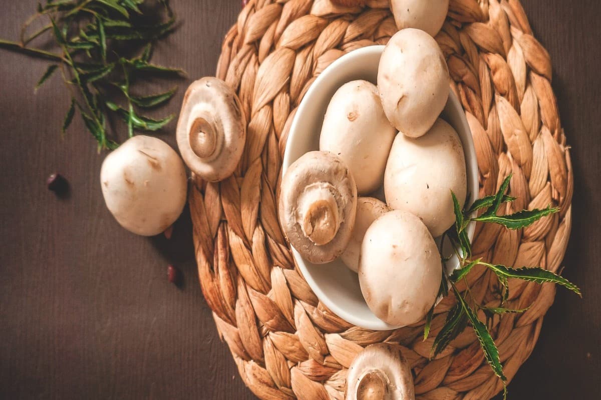 Mushroom : मशरूम शाकाहारी है या मांसाहारी?