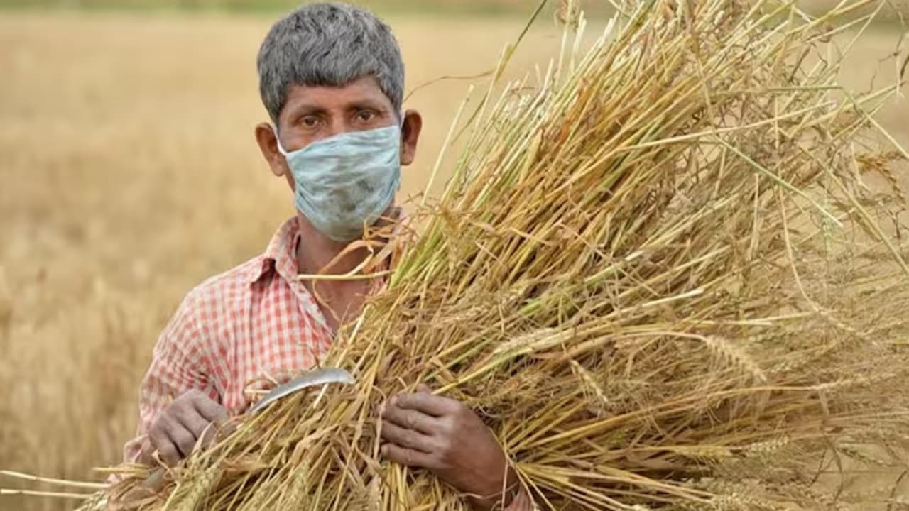 PM Kisan: अन्नदाताओं को पीएम किसान की 17वीं किस्त का इंतजार, जानें कब मिलेंगे पैसे