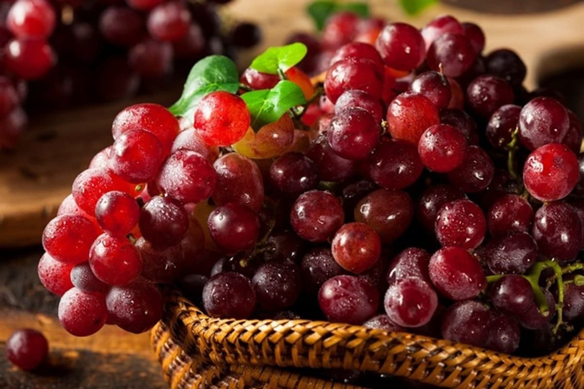 Red Grapes Benefits: हार्ट से लेकर किडनी को रखना है दुरुस्त तो खाना शुरू कर दें लाल अंगूर, डायटीशियन से जानिए