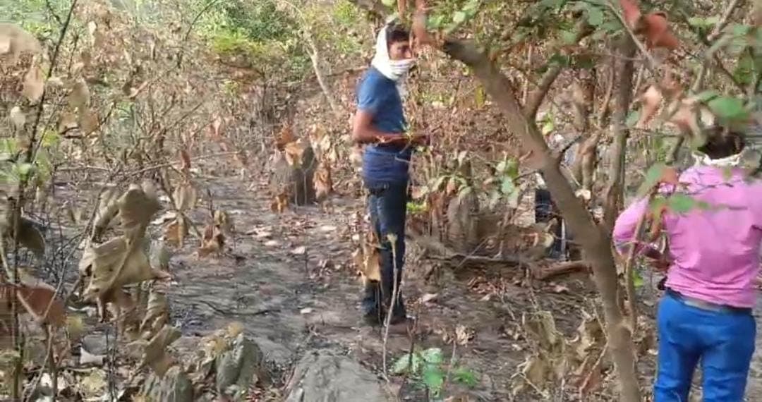 औरंगाबाद के जंगली इलाके से अधजला शव बरामद, लोगों में भय का माहौल
