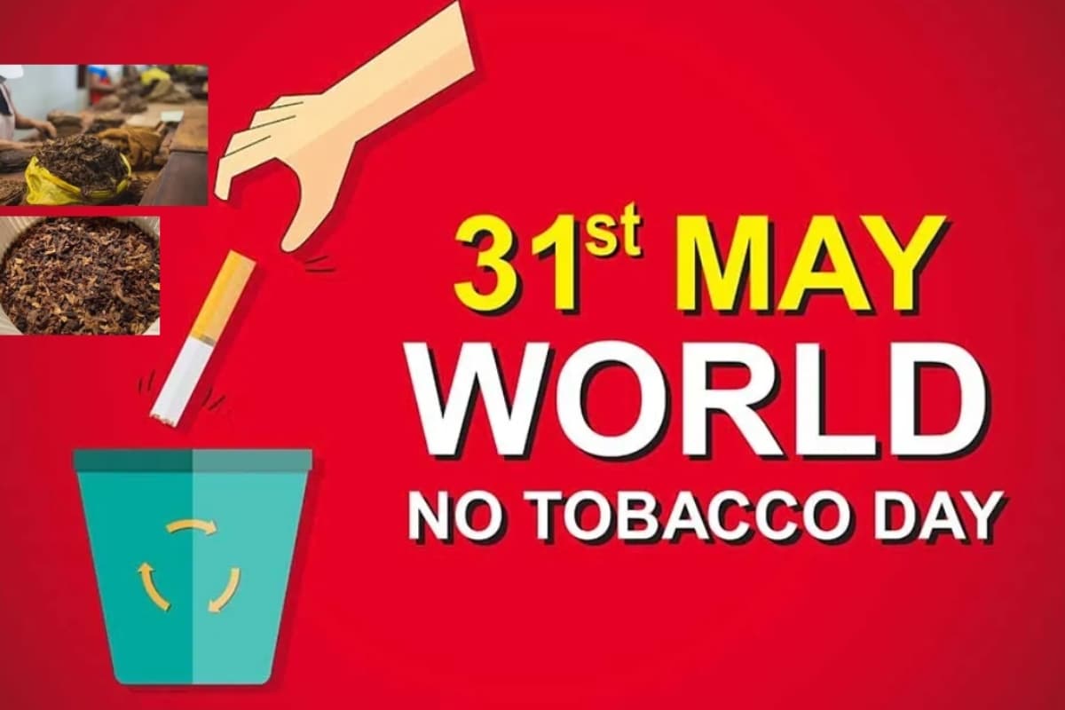World No Tobacco Day 2024: जानें कब और क्यों मनाया जाता है विश्व तंबाकू निषेध दिवस