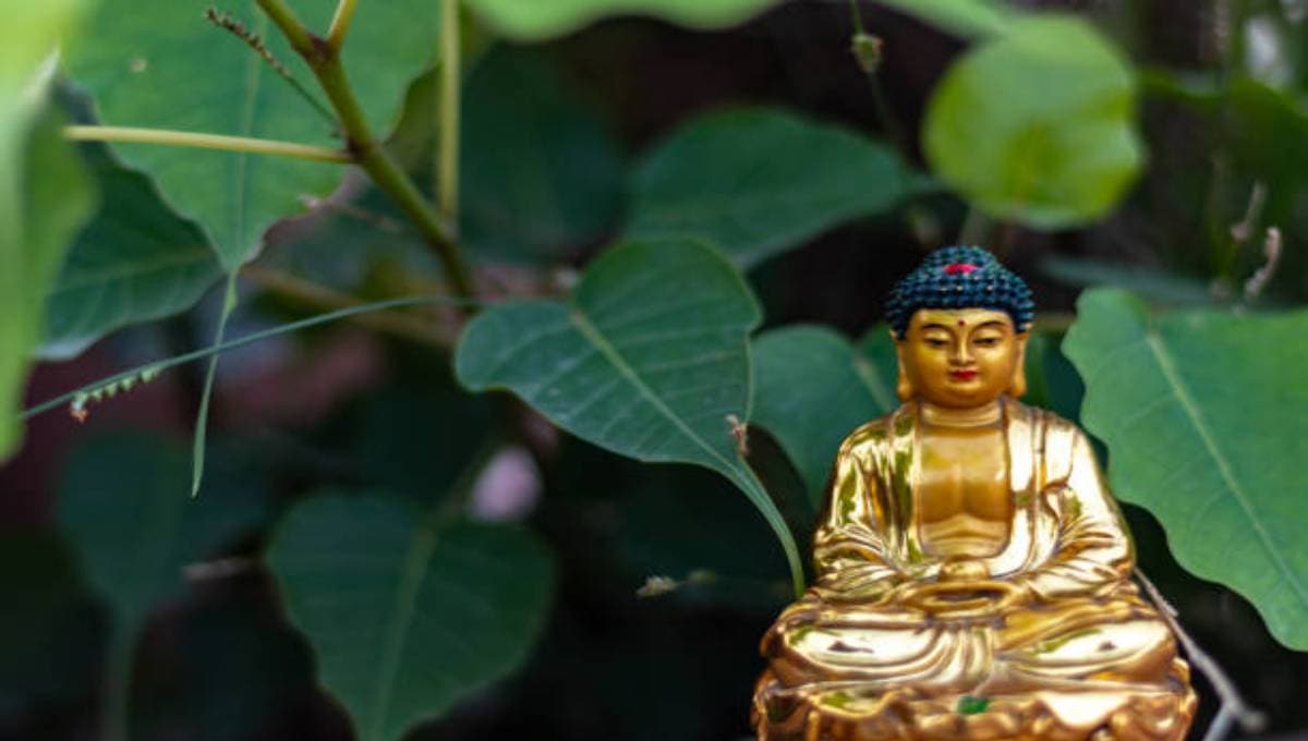 Astro Tips: शनिवार को मिलते हैं ये संकेत तो समझें लकी हैं आप, बनी रहेगी शनि देव की कृपा