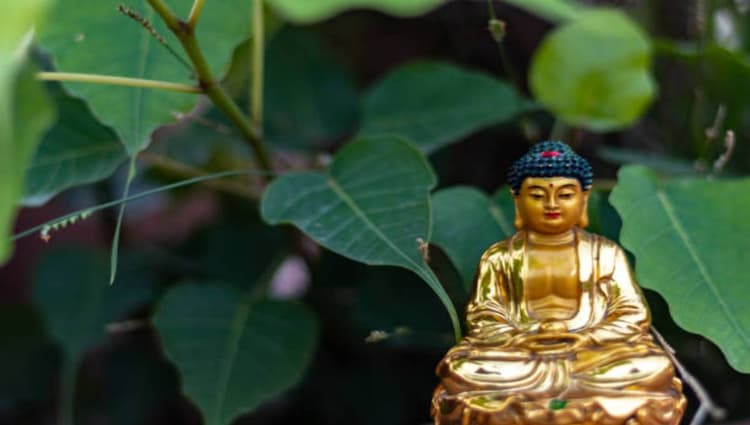 Astro Tips: शनिवार को मिलते हैं ये संकेत तो समझें लकी हैं आप, बनी रहेगी शनि देव की कृपा