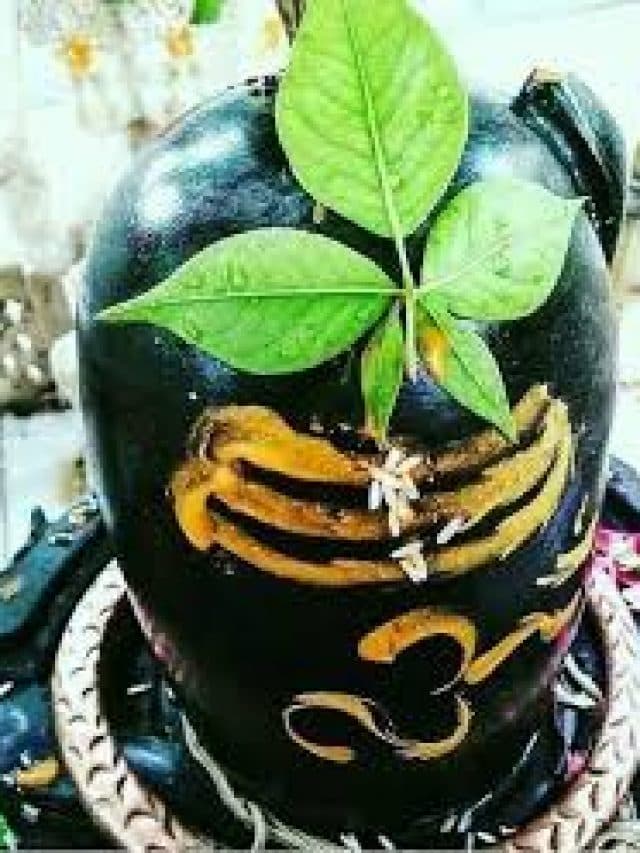 क्या आप जानते है शिवलिंग पर बेलपत्र क्यों चढ़ाया जाता है?