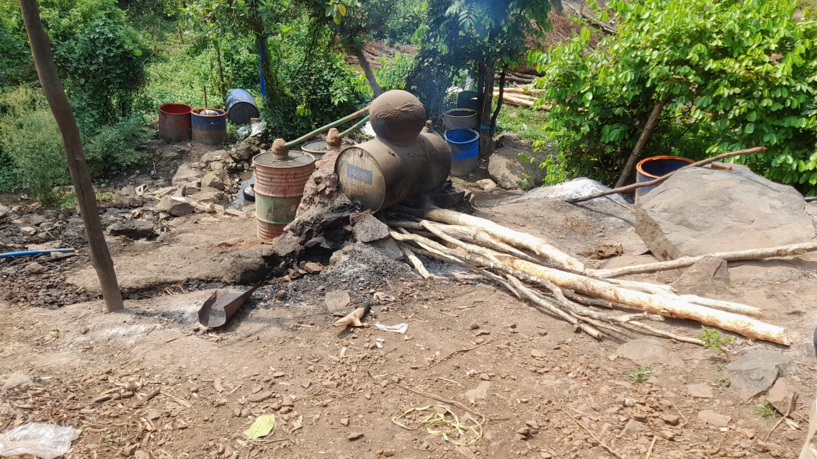 दलमा जंगल की अंधाधुंध कटाई कर रहे अवैध शराब भट्ठियों के मालिक, वन विभाग जंगल को बचाने में नाकाम