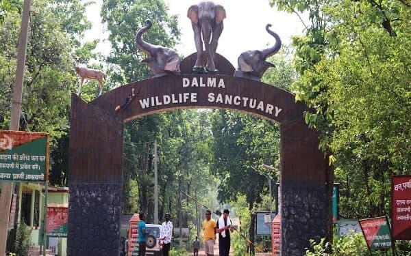 dalma elephant human conflict : दलमा में हाथियों और मानव के टकराव को रोकने का उपाय खोजेगी टाटा मोटर्स, एक्सआइएसएस गांवों के विकास पर करेगा स्टडी