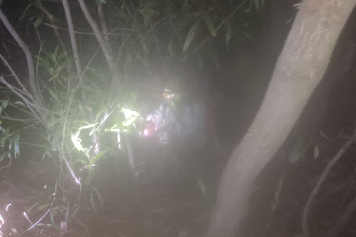 Dhanbad: केंदुआटांड़ पहाड़ी के किनारे झाड़ियों में आदिवासी महिला का अर्द्धनग्न शव मिलने से सनसनी