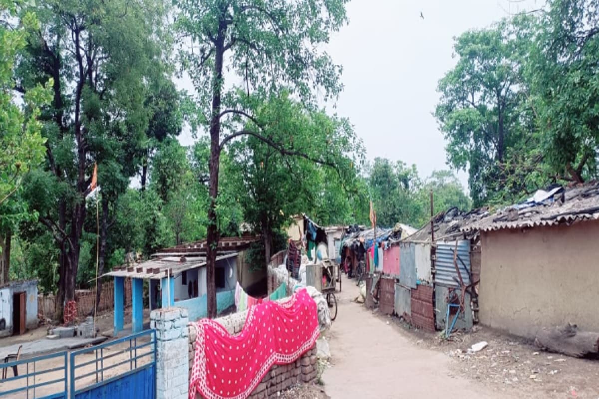 आजादी के 76 साल बाद भी धनबाद की इस बस्ती में नहीं हैं पानी व बिजली की सुविधाएं, युवा कचरा बीनकर करते हैं गुजारा