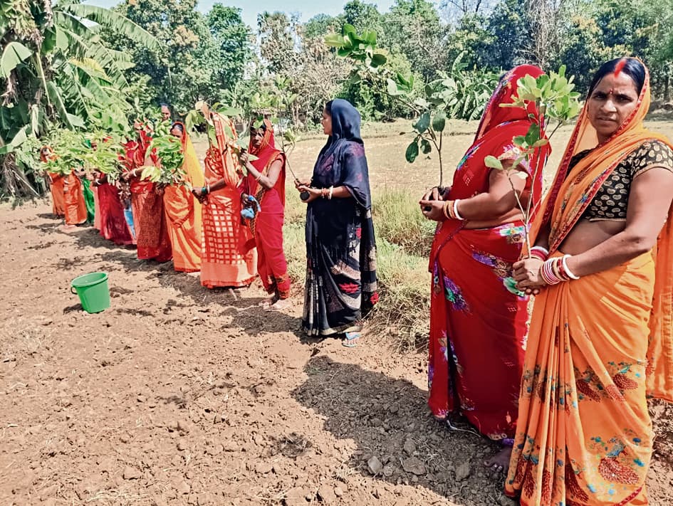 Patna : जीविका दीदियों ने एक दिन में लगाये 95 हजार पौधे लगा कर वोटराें को किया जागरूक