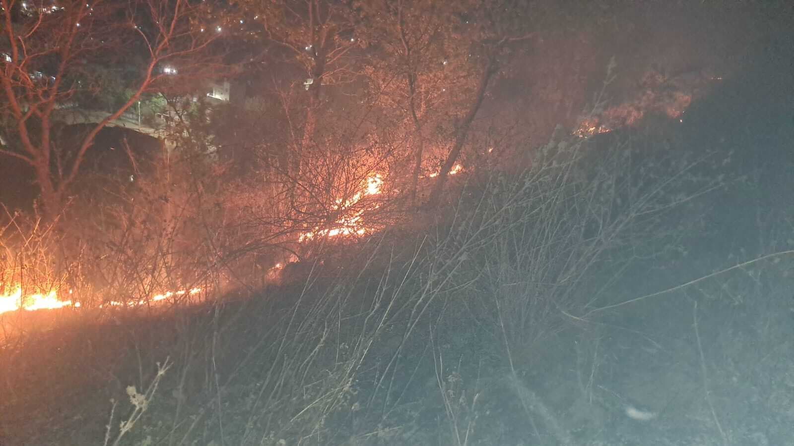 सिंगरा स्थान पहाड़ की झाड़ी में लगी आग, अग्निशमन बुझाने में जुटा