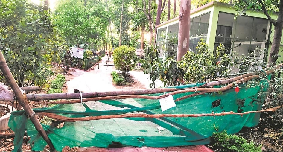 बर्ड फ्लू से बचाव को लेकर बिरसा जैविक उद्यान का पक्षी प्रभाग 15 दिनों के लिए बंद