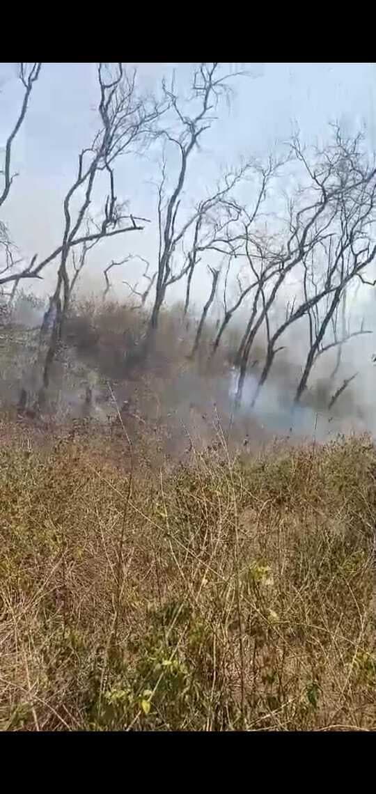 स्वांग के जंगलों में लगी आग, 150 पेड़ जले