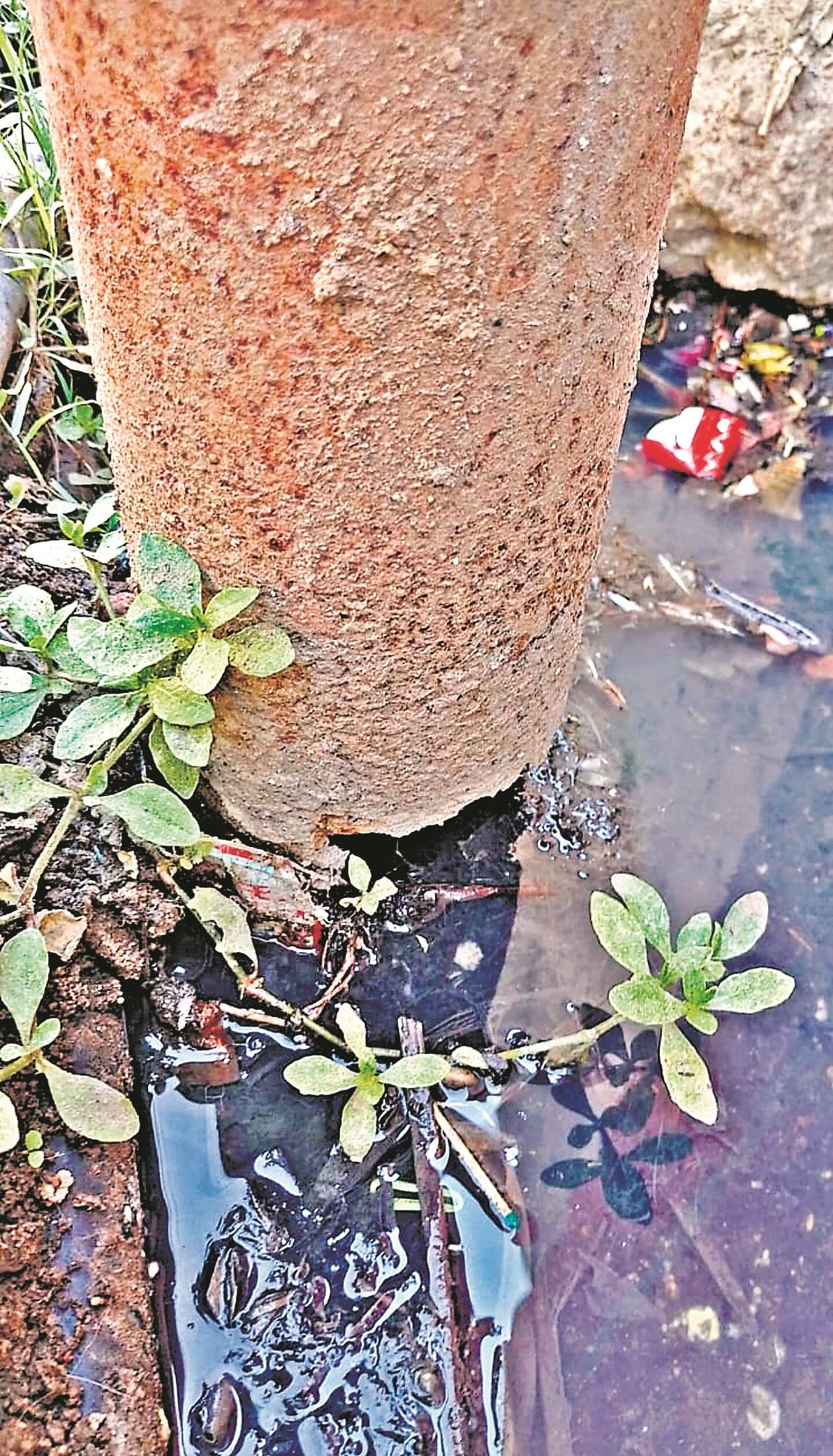 जर्जर पोल के सहारे हो रही बिजली आपूर्ति